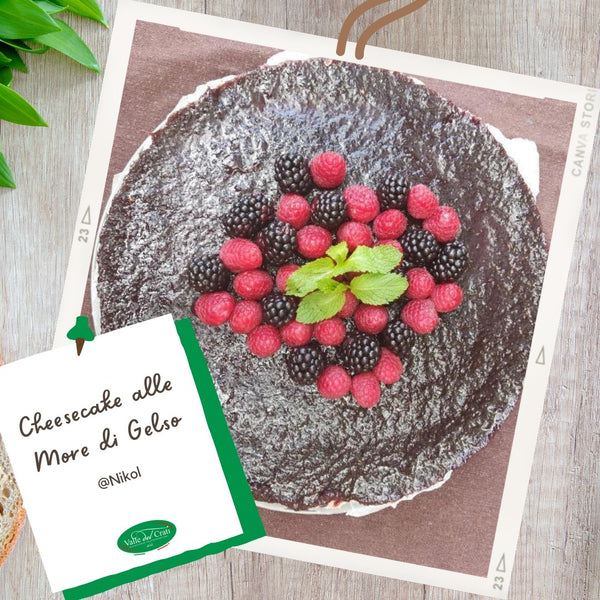 Cheesecake alle More di Gelso - Valle del Crati