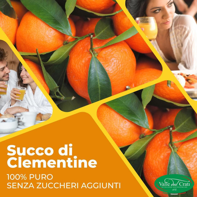 Succo di Clementine 200ml - Valle del Crati